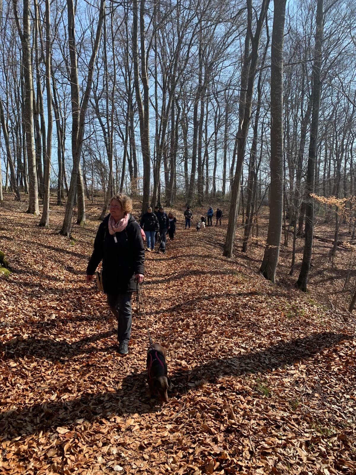 dog_team_alb_krimiwanderung3